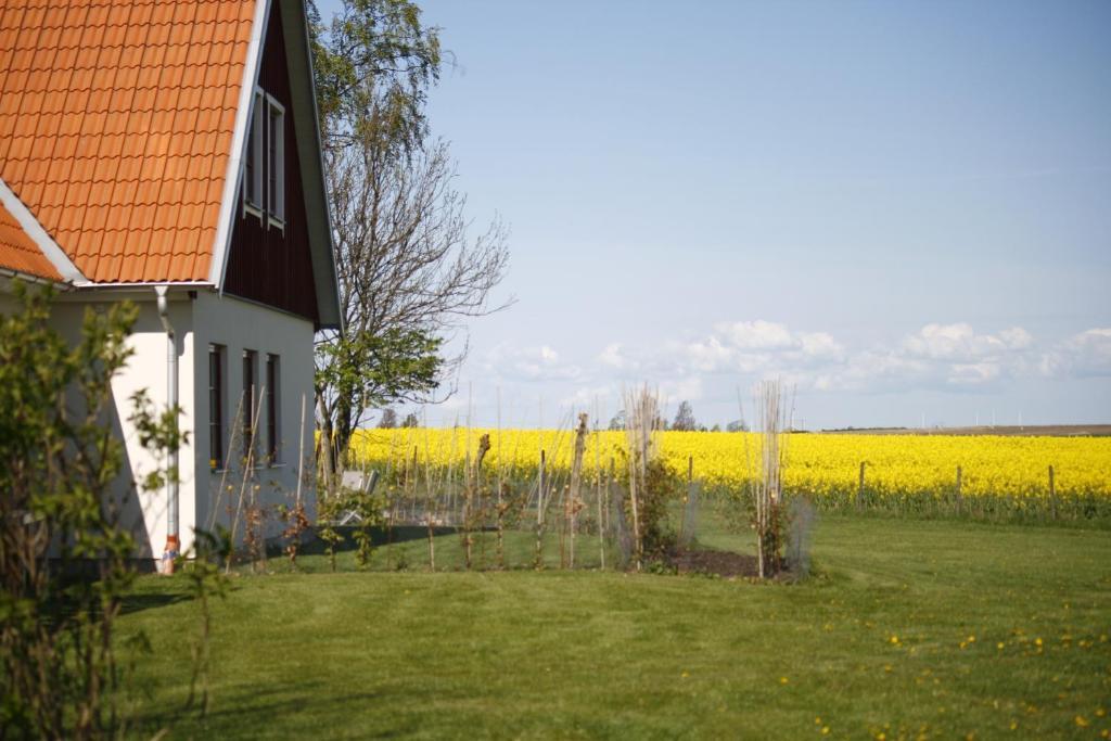 Hobykrok B&B Lund Buitenkant foto