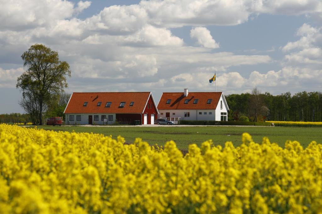 Hobykrok B&B Lund Buitenkant foto