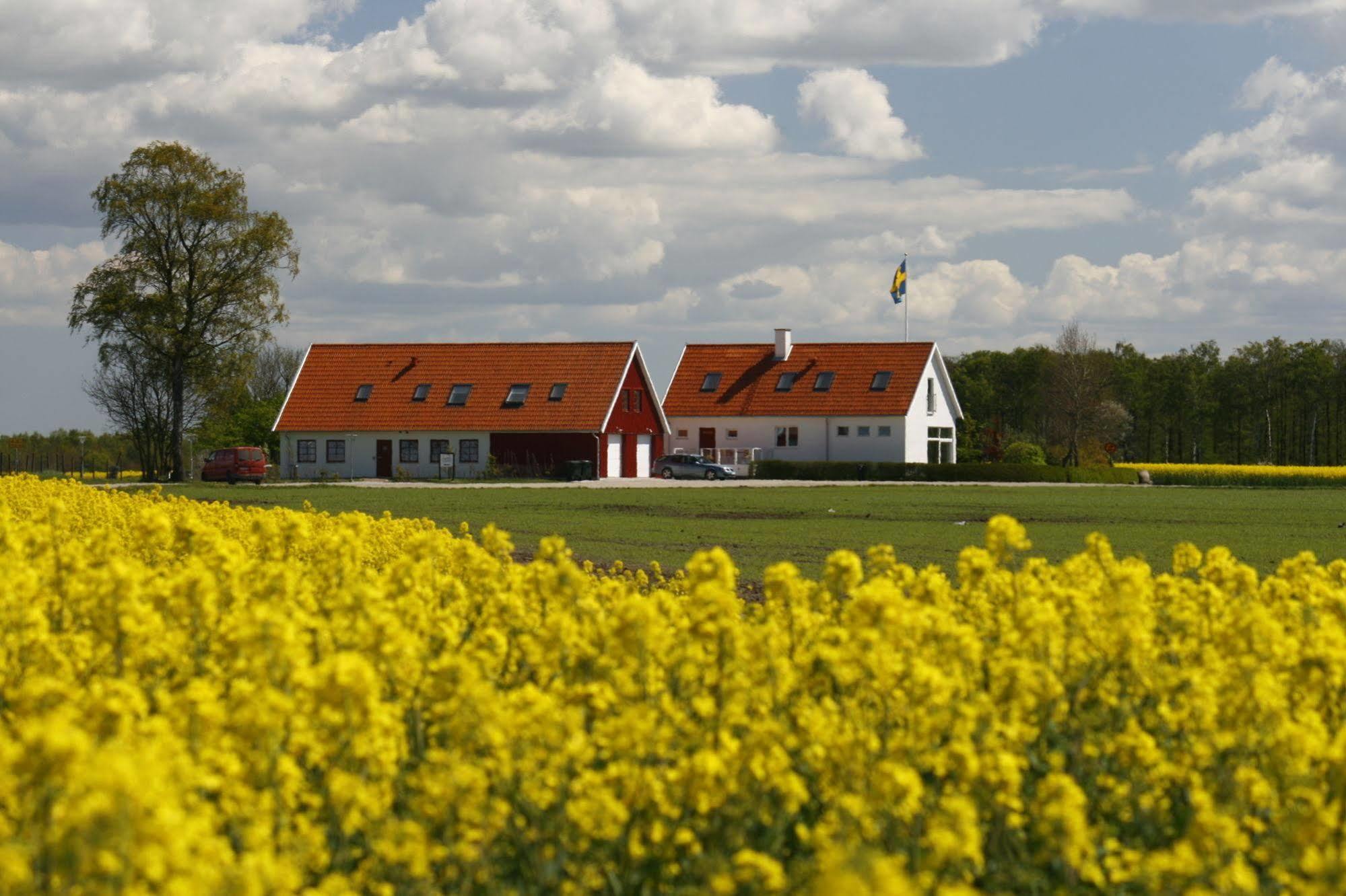 Hobykrok B&B Lund Buitenkant foto